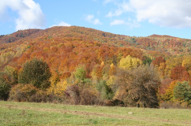 Zelta rudens Tatros.