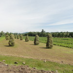 Romania ainava